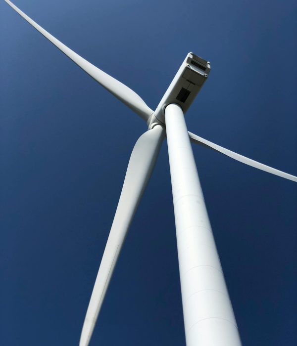 pexels-diego-vivanco-103691-16586076